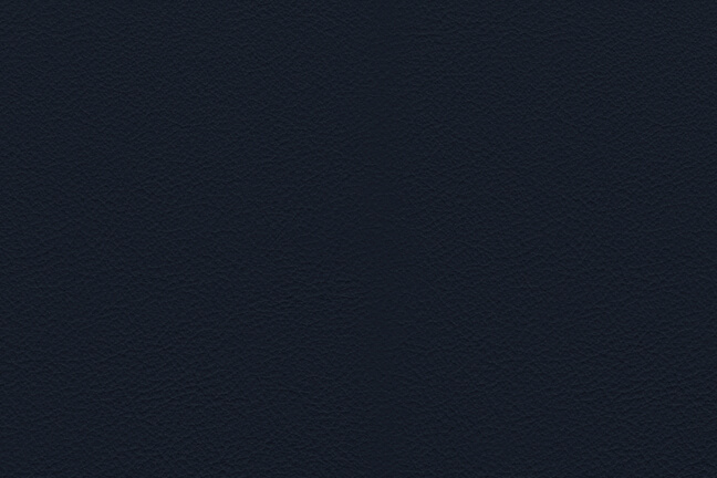 Euro - Dark Blue