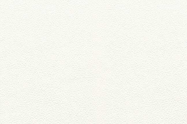 Euro - White