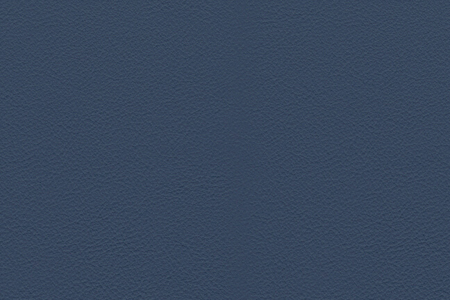 Euro - Blue