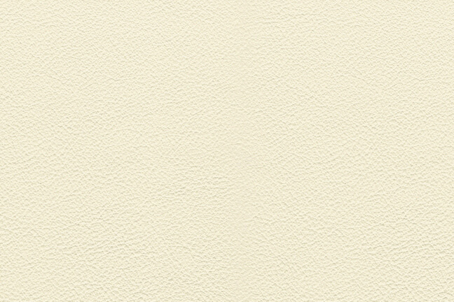 Euro - Ivory
