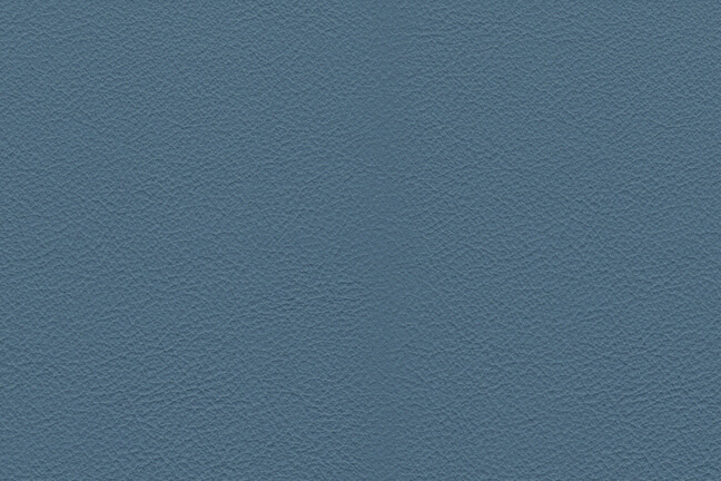 Euro - Slate Blue